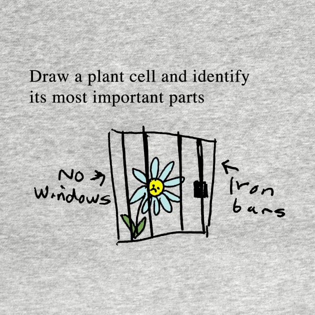 Plant Cells - Exam Question by The Blue Box